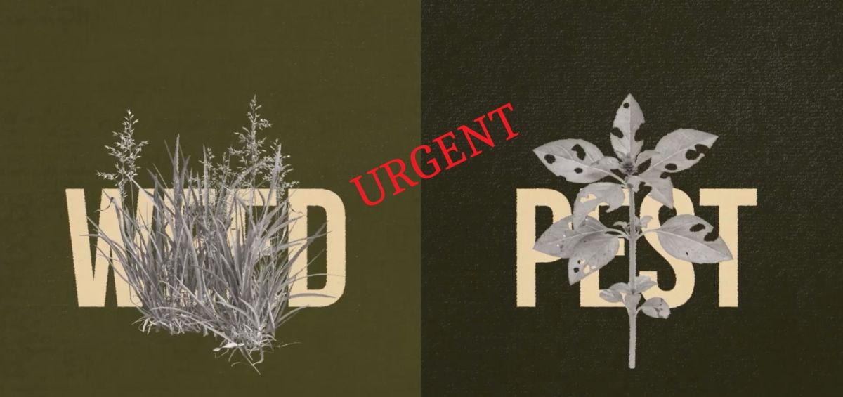 AAC solicită acordarea de sprijin financiar urgent fermelor și cooperativelor