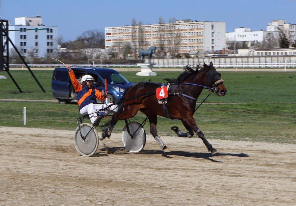 Sezonul Hipic 2026 pe Hipodromul Ploiești