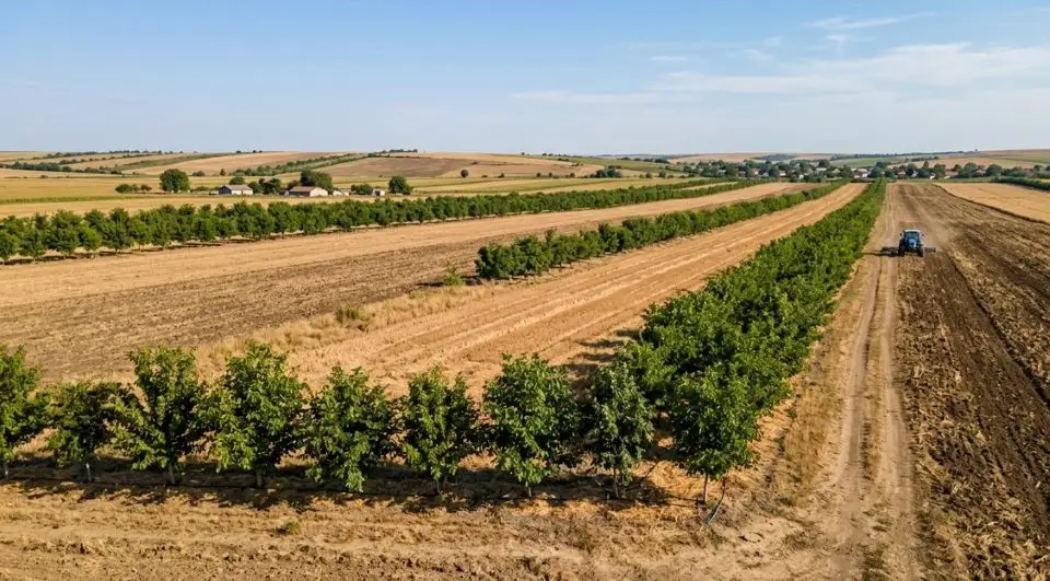 Interes minim pentru măsura DR-19 la AFIR