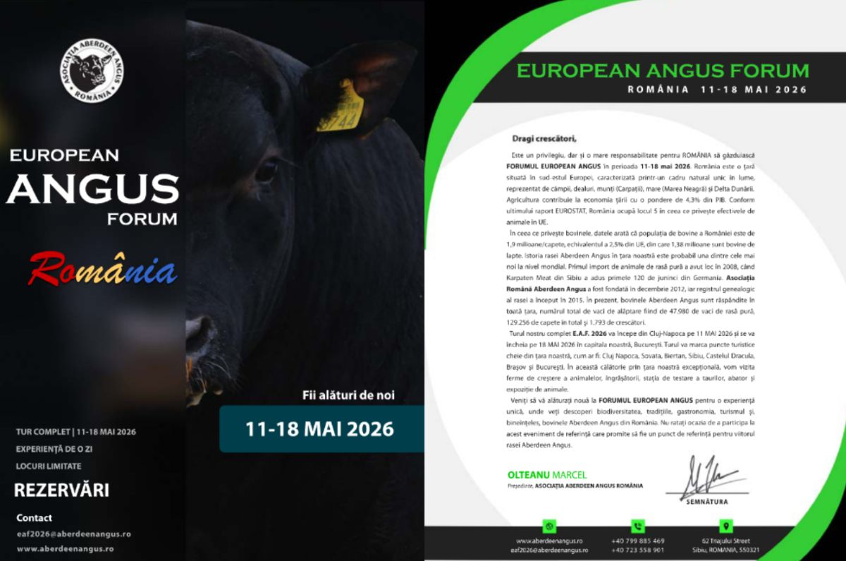 European Angus Forum 2026: România găzduiește liderii zootehniei