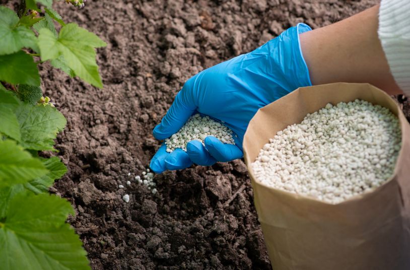 În Slobozia se va inființa o nouă fabrică de îngrășăminte