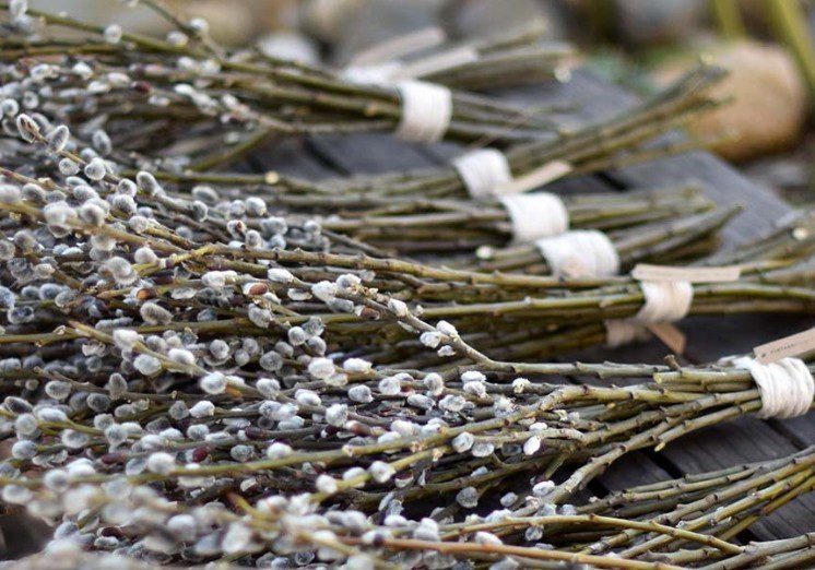 Sărbătoarea de Florii