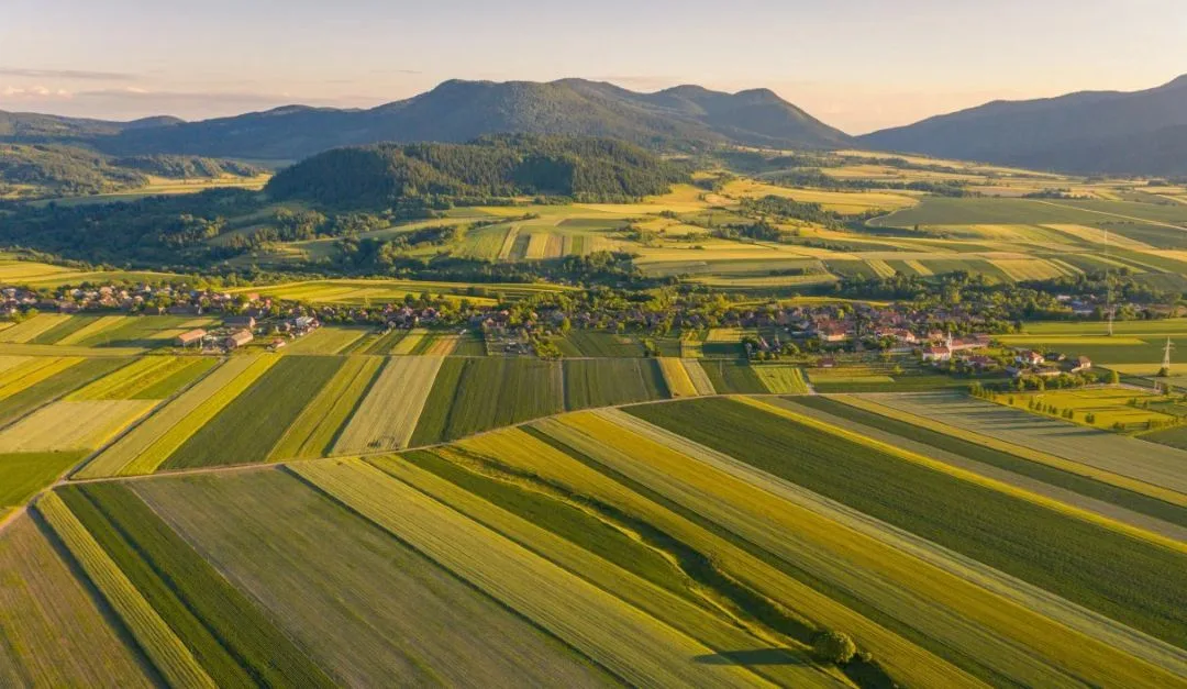 Vești bune de la OCDE: Agricultura României evoluează pozitiv
