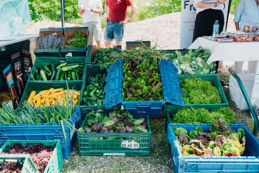 Ziua Verde revine pe 23 mai la ferma bio&co, cu experiențe în natură și agricultură ecologică