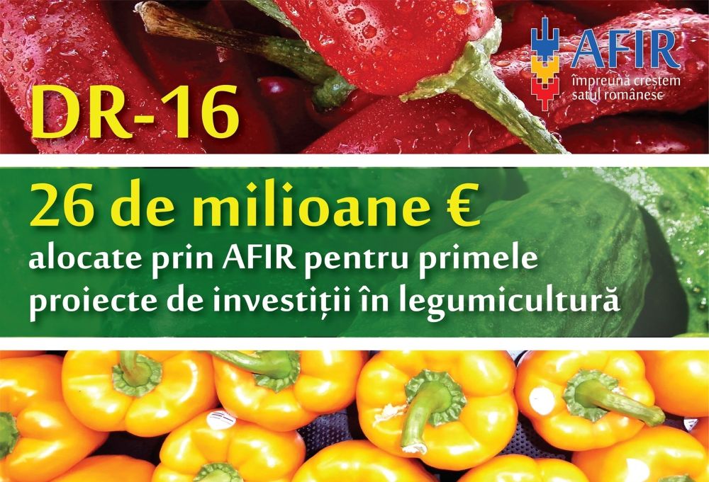 AFIR: 26 de milioane de euro alocate pentru primele proiecte de investiții în legumicultură