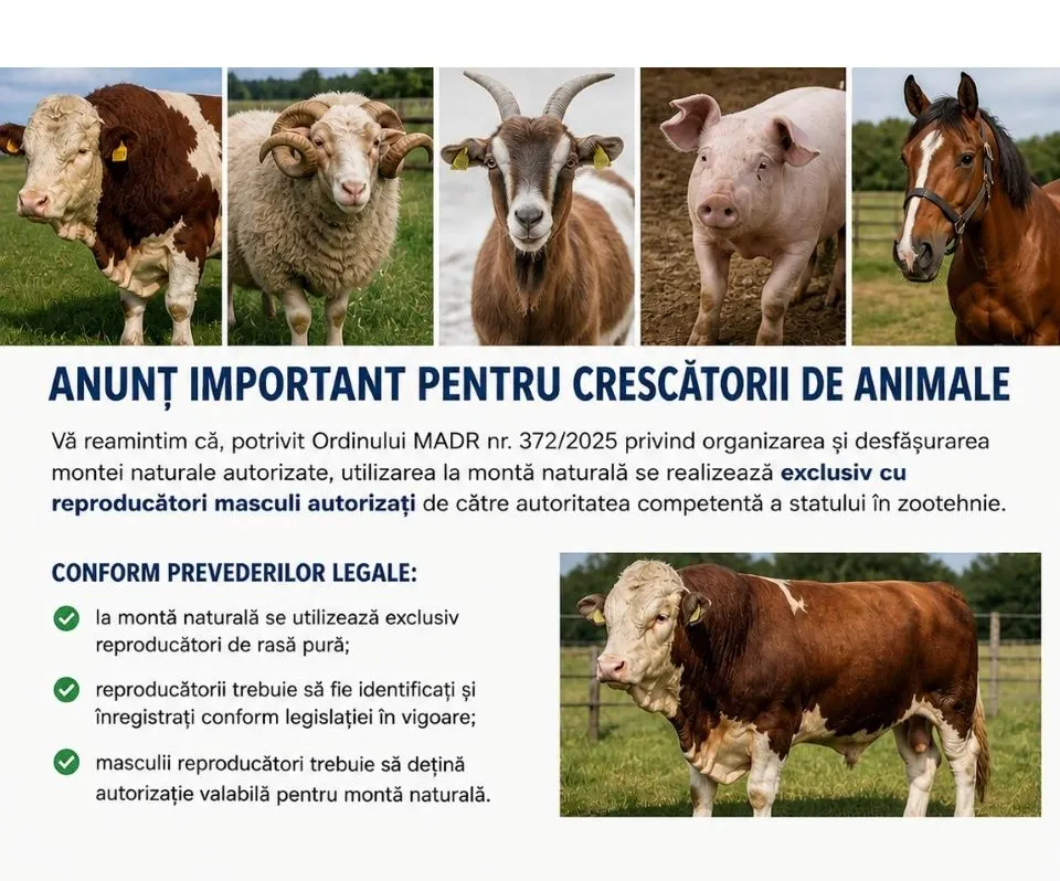 Reproducția autorizată – un pas important pentru dezvoltarea fermelor și protejarea valorii genetice a animalelor