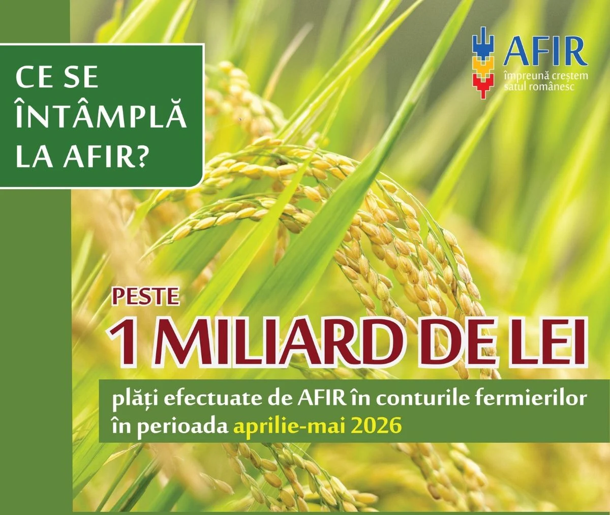 Anunț AFIR: peste 1 miliard de lei au intrat în conturile beneficiarilor din mediul rural