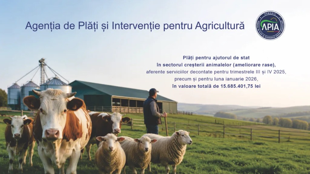Plăți APIA către fermieri: peste 15,68 milioane lei pentru crescătorii de animale