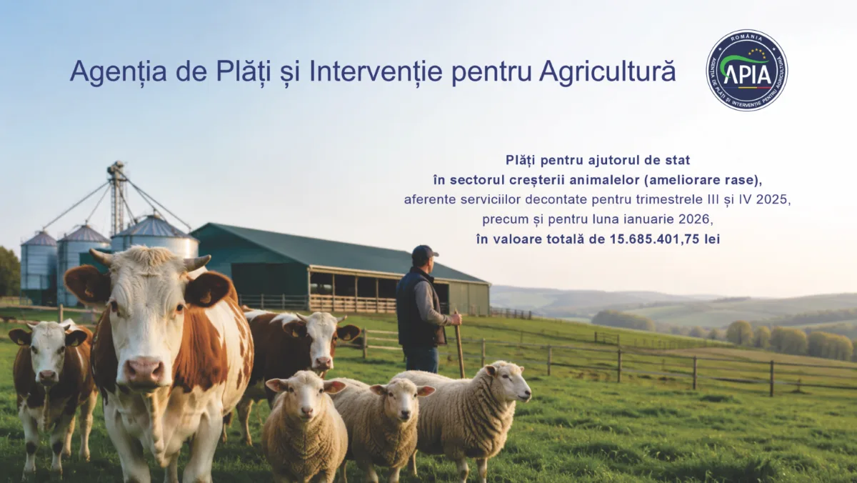 Plăți APIA către fermieri: peste 15,68 milioane lei pentru crescătorii de animale