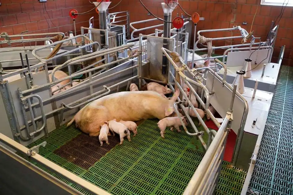 WEDA prezintă boxa modulară cu pivotare Be.Fit