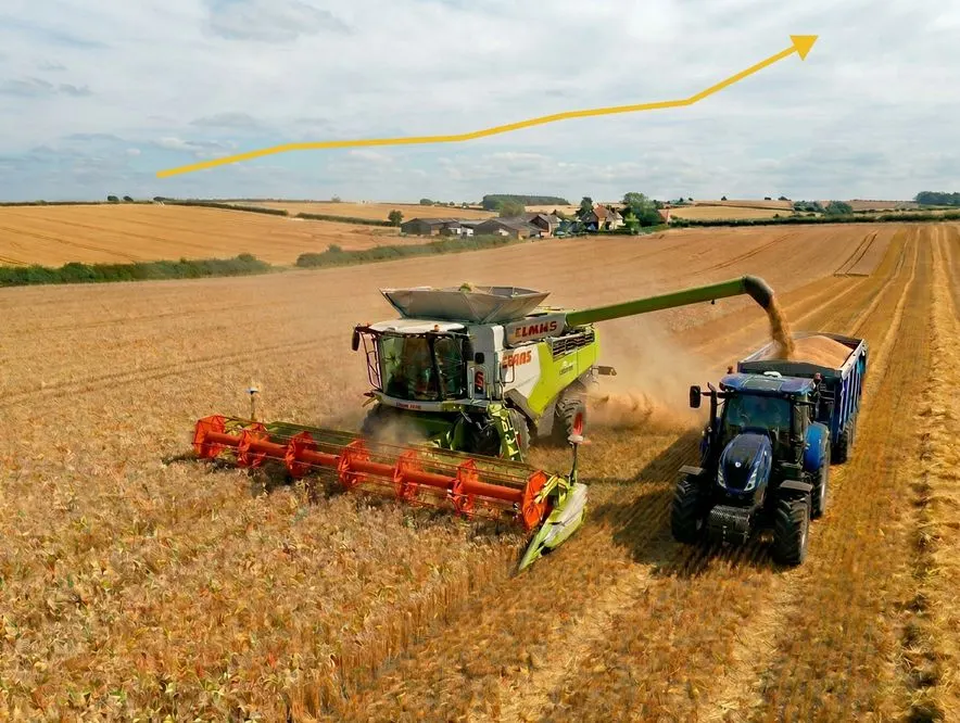 Prețul grâului înregistrează un salt major după ultimul raport USDA