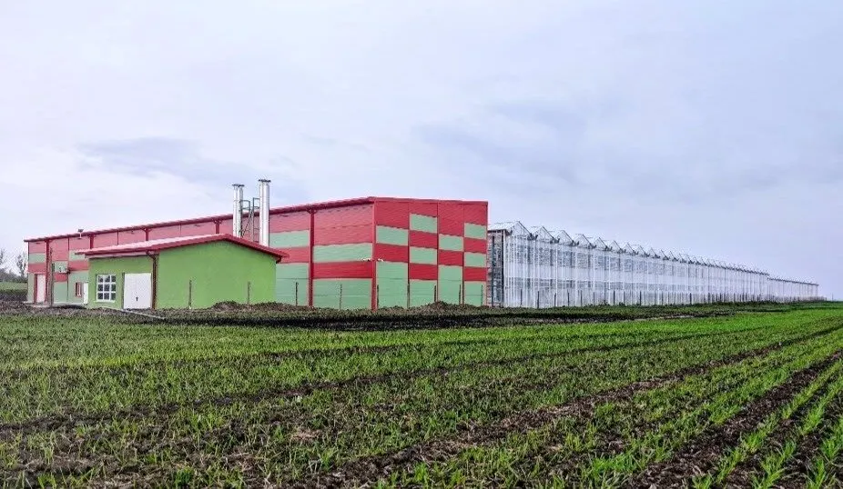 Firma Enni Ecologic SRL a construit o seră modernă de 12.000 mp în Râmnicu Sărat, județul Buzău