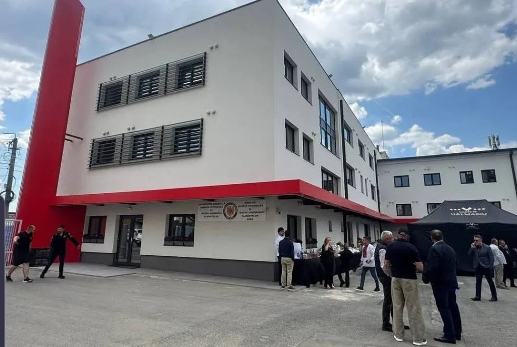 DNA la DSVSA Arad: inspectori veterinari suspectați că au ascuns un focar de boală la oi