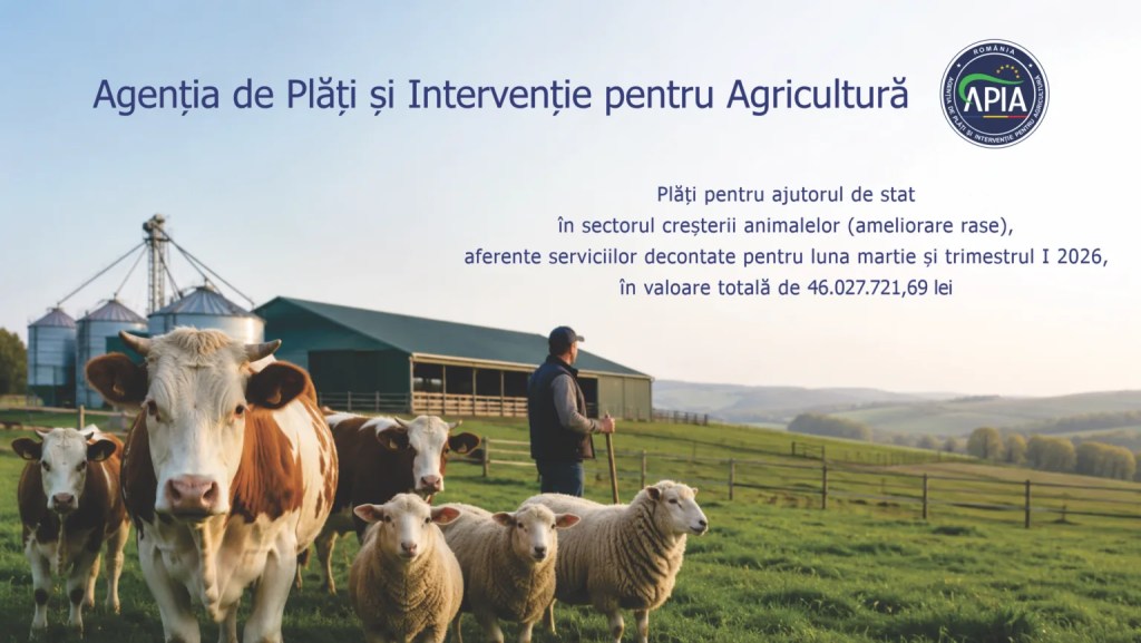 Sprijin financiar de peste 46 milioane lei pentru crescătorii de animale