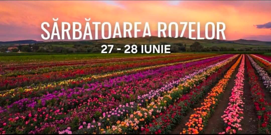 Sărbătoarea Rozelor de la Ciumbrud – Tradiție, comunitate și frumusețe!
