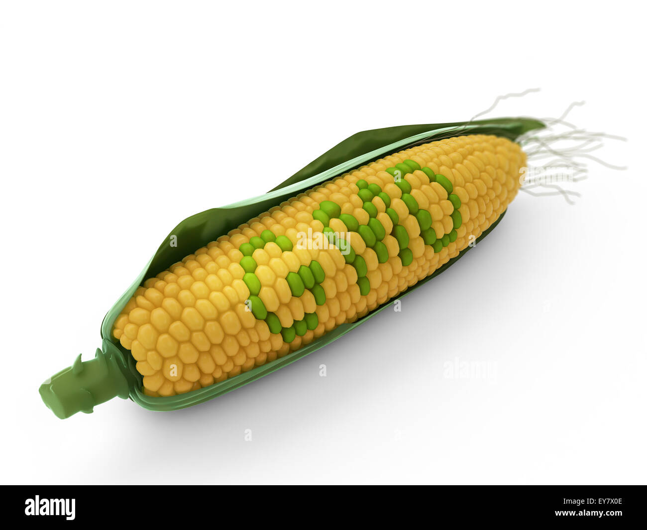 Premieră mondială în biotehnologie: Argentina aprobă un nou porumb modificat genetic împotriva dăunătorilor