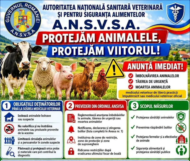 Atenționare ANZ pentru fermieri: Noi reguli privind anunțarea bolilor și a mortalității la animale