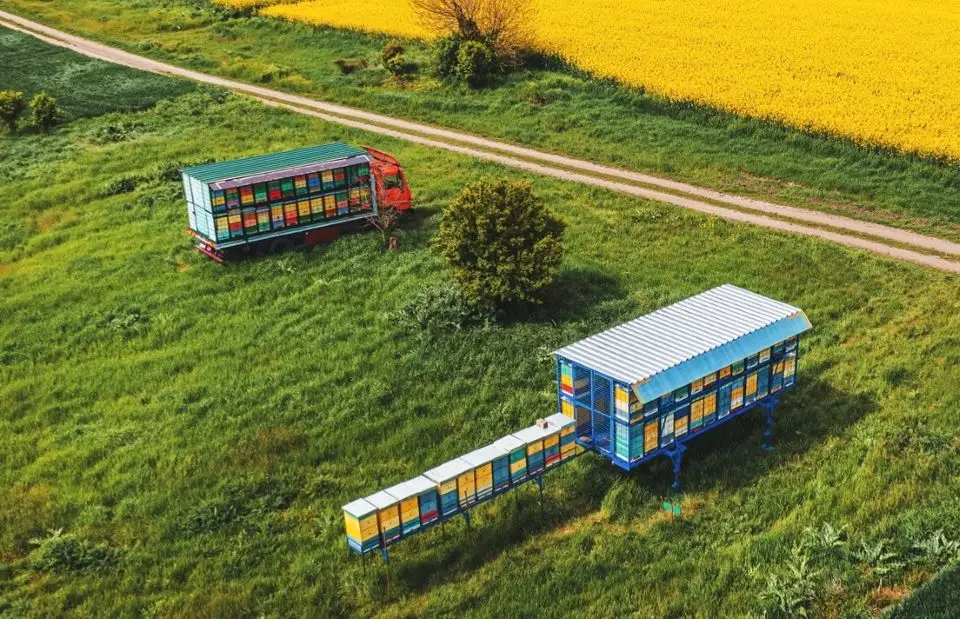 Proiect legislativ pentru eliminarea impozitului pe camioanele și vehiculele apicole