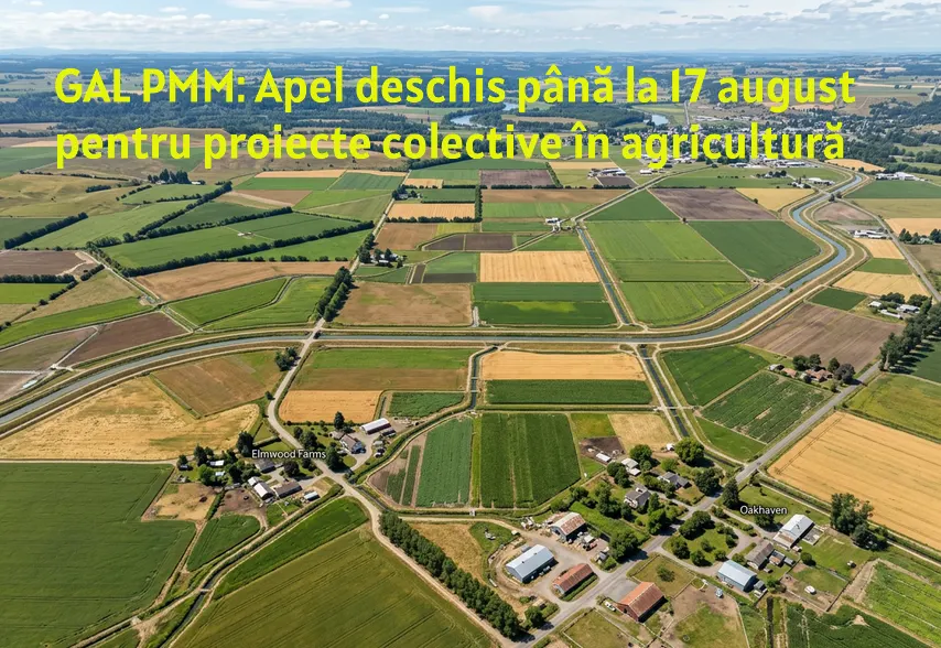 GAL PMM: Apel deschis până la 17 august pentru proiecte colective în agricultură și agroalimentar
