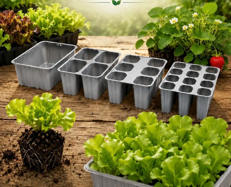 Horticultură profesională: sustenabilitatea începe și cu ambalajele, ghivecele și tăvițele