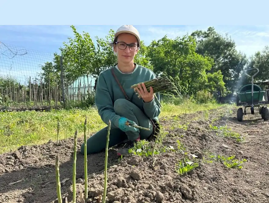 Cum a transformat o antreprenoare din România cultivarea sparanghelului într-o afacere de succes