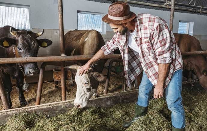 Comisia Europeană lansează prima strategie dedicată creșterii animalelor