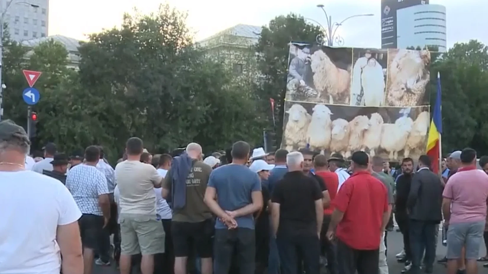 Oierii au ieșit în stradă la București: „Oile noastre treceau marea, voi ne aduceți disperarea!”