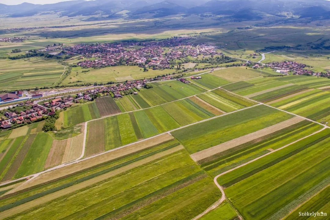 Inspectori pe teren: APIA a dat startul verificărilor în ferme pentru plățile din acest an