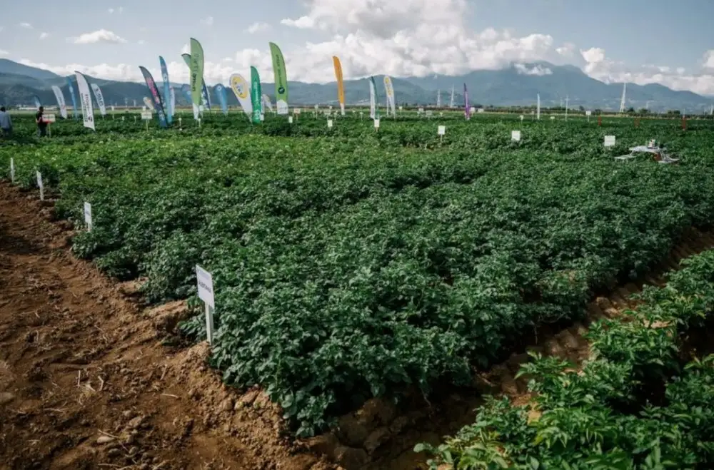 ANF la cea de-a 49-a ediție a Simpozionului Național: „Ziua Verde a Cartofului”