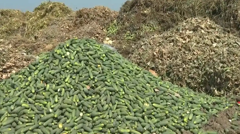 O recoltă nevândută nu trebuie să devină o recoltă pierdută!