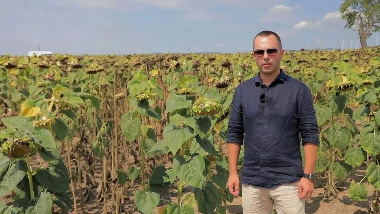 Cum transformă produsele biologice rezultatele din câmp în decizii de investiții