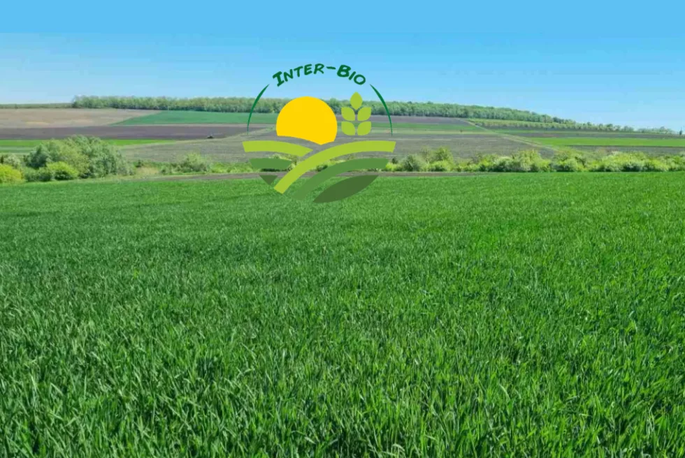 Legea Biodiversității  între miza celor 972 de milioane de euro și realitatea aspră a sectorului bio din România