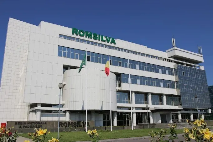 Federația Silva cere modificarea HG 123/2026: Auditul Romsilva indică 26 de direcții silvice, nu 19