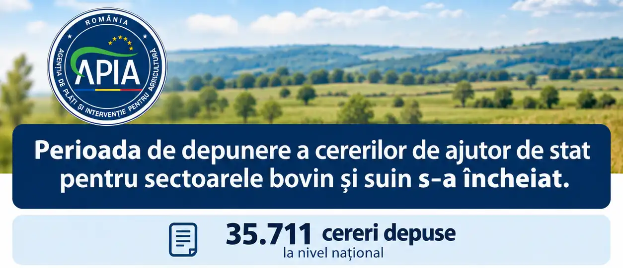 APIA informează cu privire la situația depunerii cererilor de ajutor de stat pentru sectoarele bovin și suin