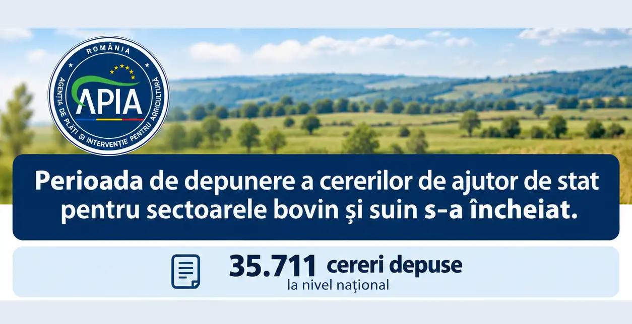 APIA informează cu privire la situația depunerii cererilor de ajutor de stat pentru sectoarele bovin și suin