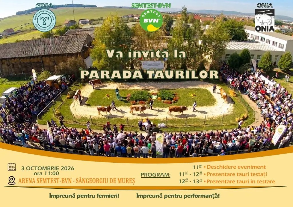 Genetica de elită în zootehnie: Sângeorgiu de Mureș găzduiește a XXIV-a ediție a Paradei Taurilor