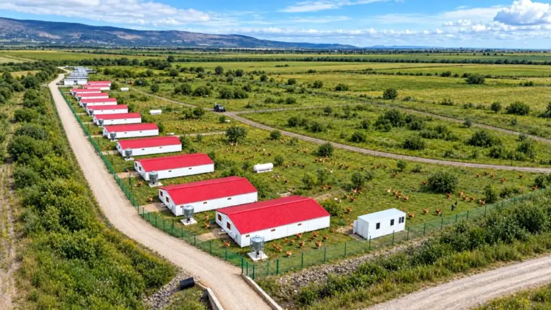 Carmistin investește 8 milioane de euro într-o nouă fermă de pui BIO