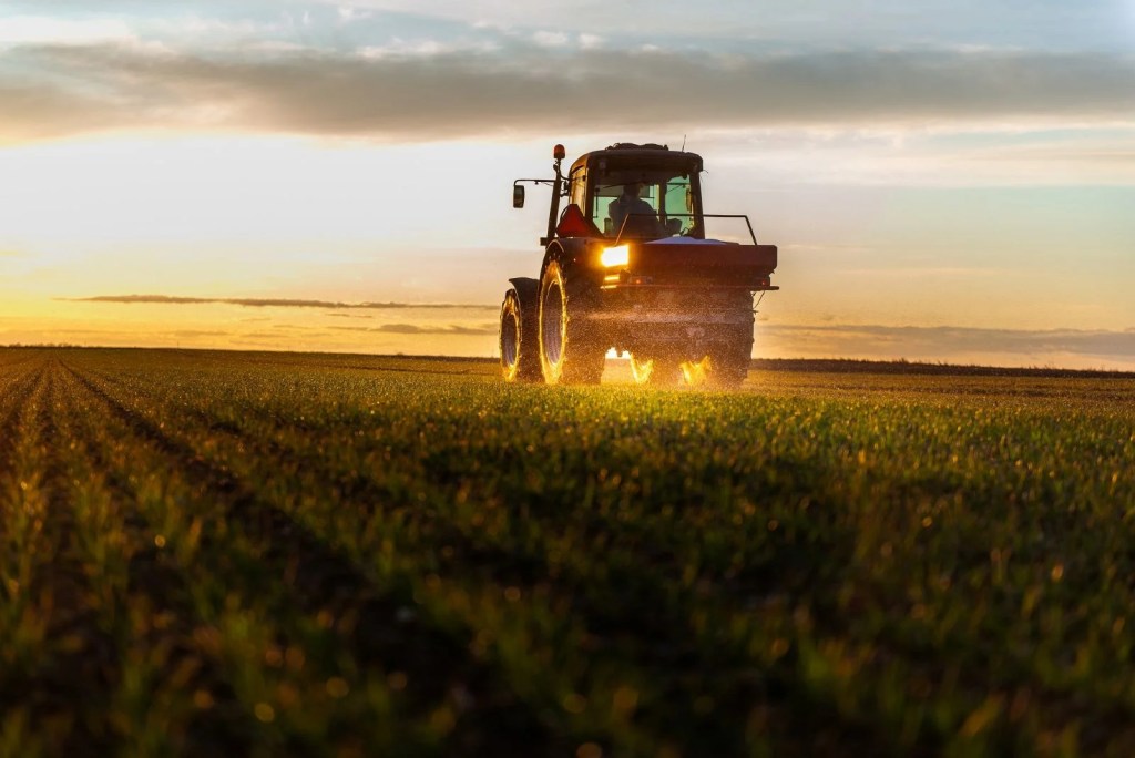 Fertilizarea organică, pas cu pas: de la analiza compoziției la nutrienții folosiți de cultură