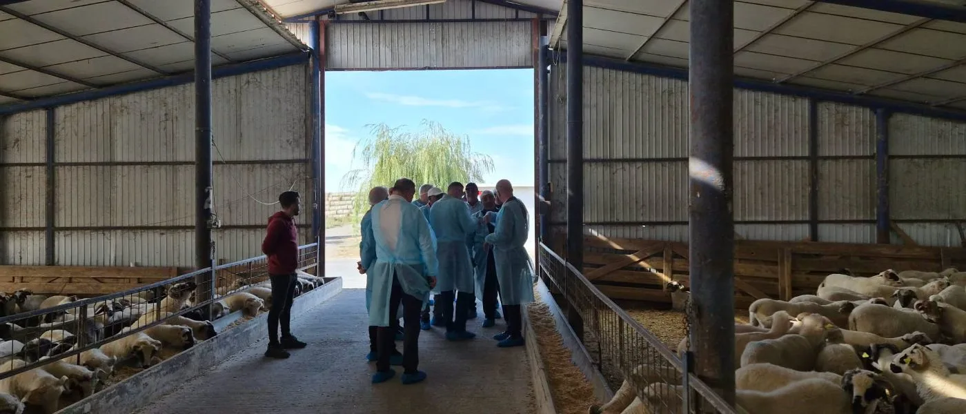 România face un pas spre reluarea exporturilor agroalimentare în Libia: au fost semnate șase certificate sanitar-veterinare