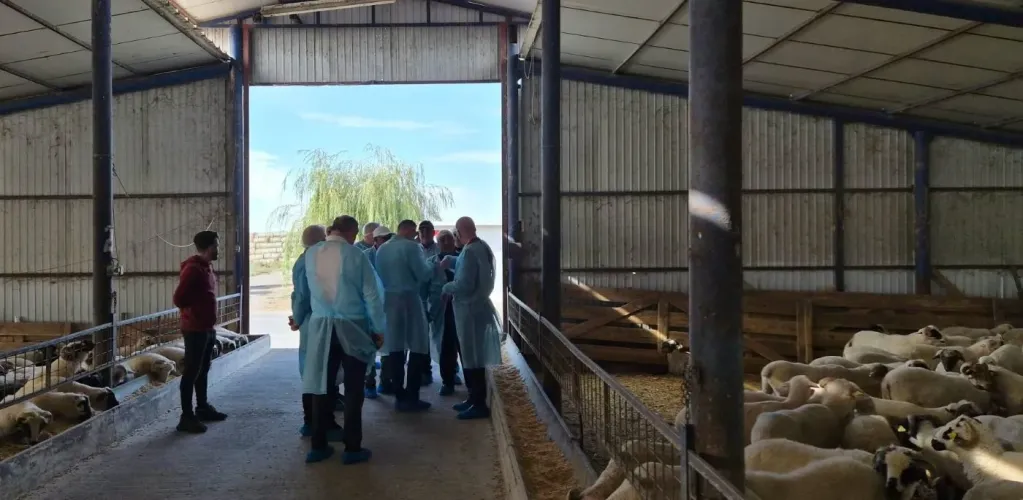România face un pas spre reluarea exporturilor agroalimentare în Libia: au fost semnate șase certificate sanitar-veterinare