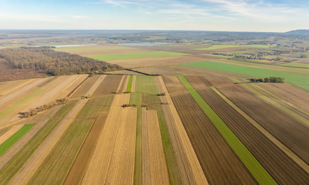 APIA a autorizat la plată peste 26,6 milioane de lei pentru rentierii agricoli și moștenitori