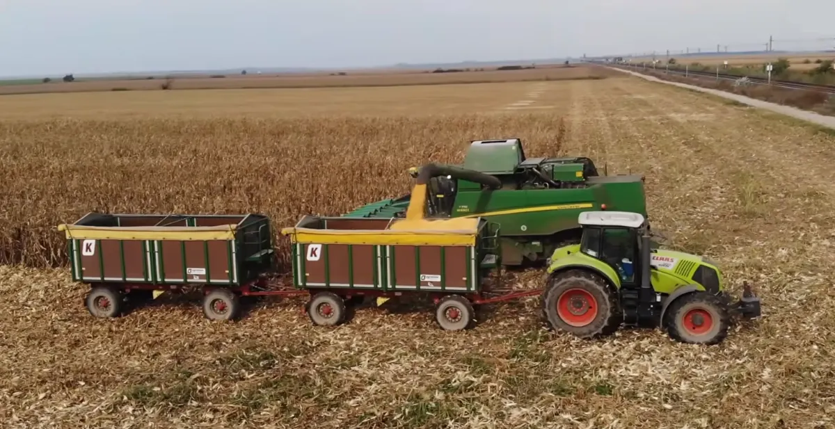 Producția agricolă a României a depășit 115,7 miliarde de lei în 2025: Nord-Estul și Sud-Estul cu creșteri importante la culturile vegetale